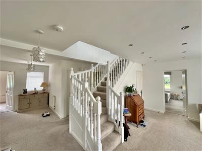 Picture 7